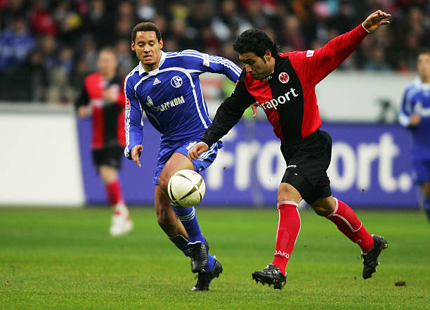 林书豪平均 林书豪平均